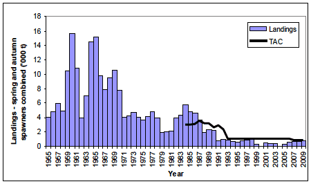 Figure 6.3. Herring landings (1000 tonnes), 1955 to 2009. Spring and autumn spawning herring combined. Agreed TAC 1984 - 2009. Figure 6.3. Herring landings (1000 tonnes), 1955 to 2009. Spring and autumn spawning herring combined. Agreed TAC 1984 - 2009.