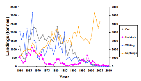 Figure 6.4 Landings from 1960-2010 for cod, haddock, whiting and Nephrops in the Clyde (ICES Stat Rectangles 39E4 + 39E5 + 40E4 + 40E5. Source, MSS). Figure 6.4 Landings from 1960-2010 for cod, haddock, whiting and Nephrops in the Clyde (ICES Stat Rectangles 39E4 + 39E5 + 40E4 + 40E5. Source, MSS).