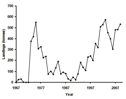Figure 6.11 Landings of scallops in the Clyde from 1967-2010 (Source, MSS). Figure 6.11 Landings of scallops in the Clyde from 1967-2010 (Source, MSS).