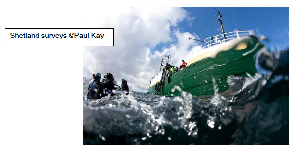 Shetland surveys