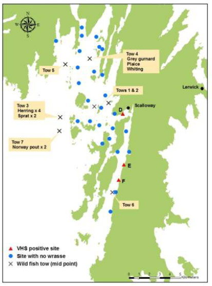 Figure 3. &nbsp;Location of wild fish sampling tows and VHS positive pools