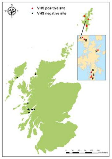 Figure 1. Location of VHS positive and negative sites Figure 1. Location of VHS positive and negative sites