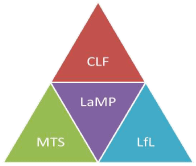 Figure 2: Planned menu of leadership development options for Scottish Medical Trainees