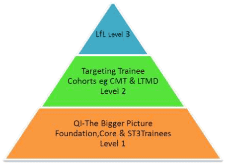 Figure 3: Tiered approach to education and training in Quality Improvement (QI) methodology for training