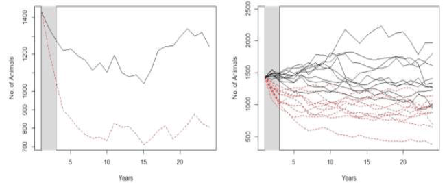 Figure A3.1. Examples of the predicted changes in abundance of the harbour seal population in the Moray Firth MU in the 24 years following the construction of two hypothetical wind farms Figure A3.1. Examples of the predicted changes in abundance of the harbour seal population in the Moray Firth MU in the 24 years following the construction of two hypothetical wind farms
