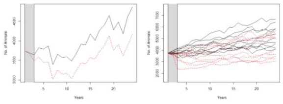 Figure A3.5 Examples of the predicted changes in abundance of the grey seal population in the 24 years following the construction of two hypothetical wind farms when all of the population is considered vulnerable Figure A3.5 Examples of the predicted changes in abundance of the grey seal population in the 24 years following the construction of two hypothetical wind farms when all of the population is considered vulnerable