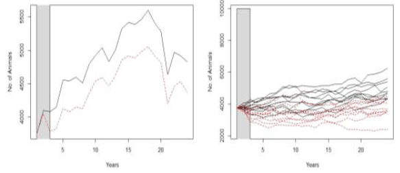Figure A3.6 Examples of the predicted changes in abundance of the grey seal population in the 24 years following the construction of two hypothetical wind farms when 50% of the population is considered vulnerable Figure A3.6 Examples of the predicted changes in abundance of the grey seal population in the 24 years following the construction of two hypothetical wind farms when 50% of the population is considered vulnerable