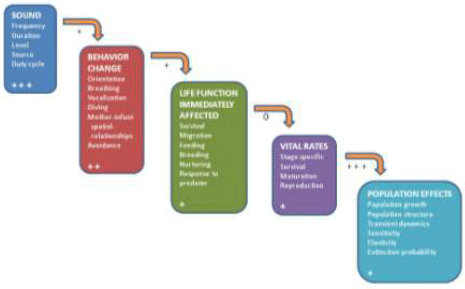 Figure 1. The Population Consequences of Acoustic Disturbance model Figure 1. The Population Consequences of Acoustic Disturbance model