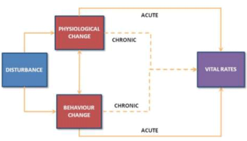 Figure 3. A simplified version of the PCoD model shown in Figure 2 that is being used in the interim PCoD approach Figure 3. A simplified version of the PCoD model shown in Figure 2 that is being used in the interim PCoD approach