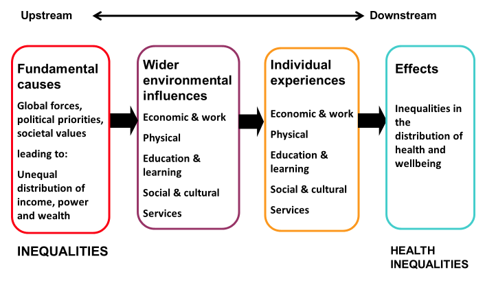 Health inequalities: theory of causation (summary version)