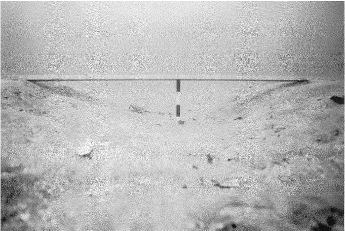 Figure 2: Photograph of cross section of water jet dredge track with depth marker in place. Banding on vertical rod = 5 cm. (Figure 4 in Tuck et al. 2000). Figure 2: Photograph of cross section of water jet dredge track with depth marker in place. Banding on vertical rod = 5 cm. (Figure 4 in Tuck et al. 2000).
