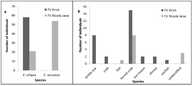 Figure 7: Number of each species observed in East Fife (FV Ensis) and Loch Nevis (FV Nicola Jane). Figure 7: Number of each species observed in East Fife (FV Ensis) and Loch Nevis (FV Nicola Jane).