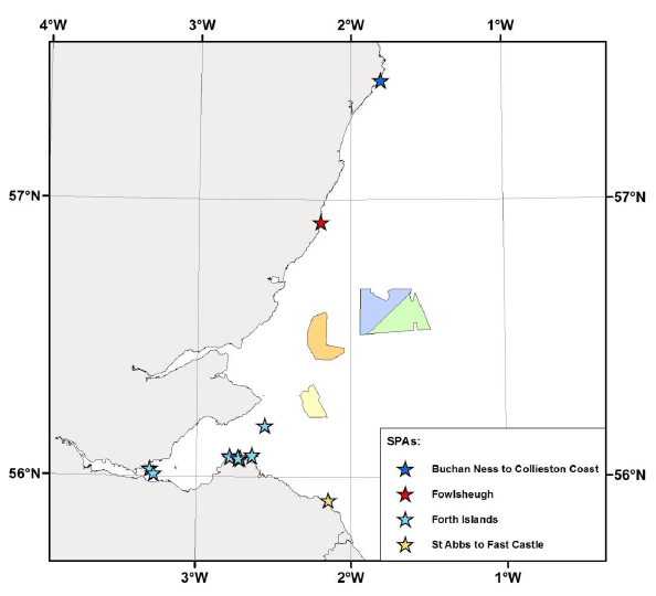 Figure 1:1