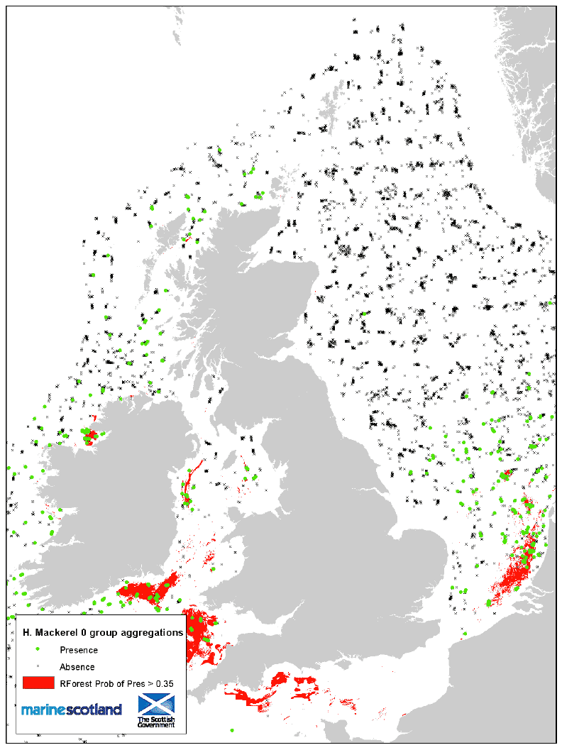 figure 22: 0 group aggregations and areas of Presence/Absence source data. Horse mackerel