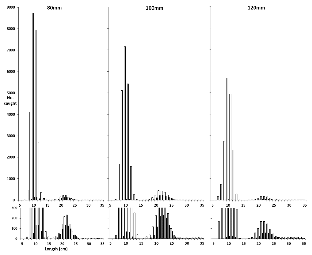 Figure 3 Figure 3