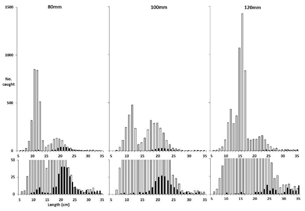 Figure 5 Figure 5