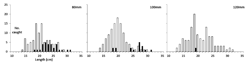 Figure 11 Figure 11