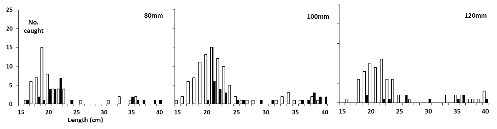 Figure 12 Figure 12