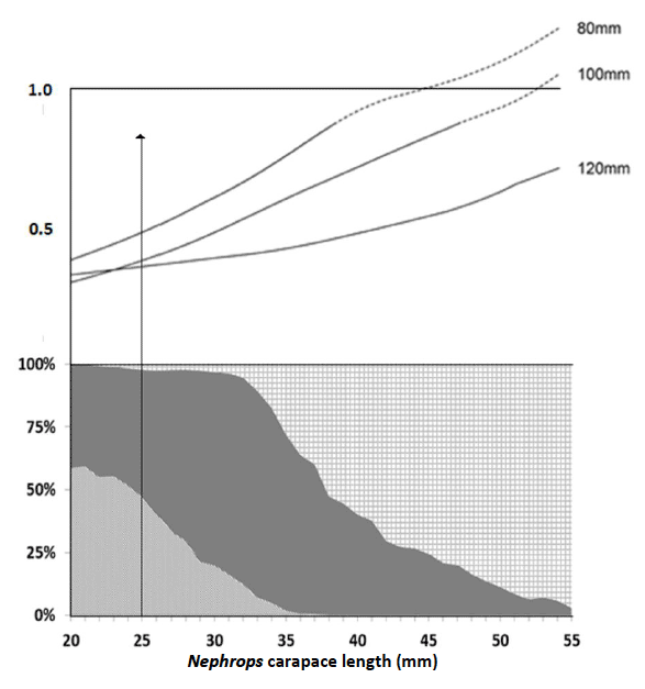 Figure 13 Figure 13
