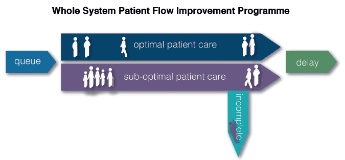 Whole System Patient Flow Improvement Programme