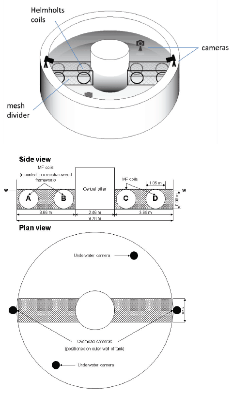 Figure 1 Figure 1