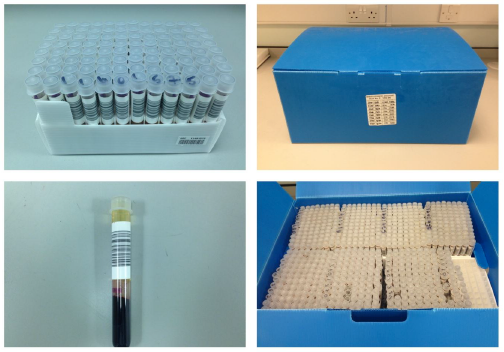 Figure 4.2: Photograph of the post-1998 National Sample Archive.