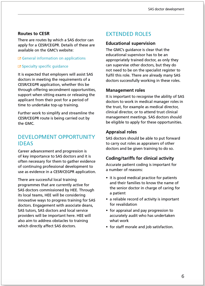 SAS Doctor Development: Summary of resources and further work - February 2017 SAS Doctor Development: Summary of resources and further work - February 2017