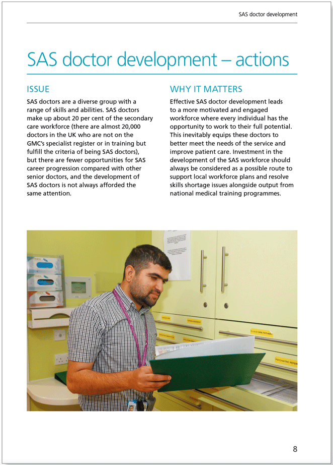 SAS Doctor Development: Summary of resources and further work - February 2017 SAS Doctor Development: Summary of resources and further work - February 2017