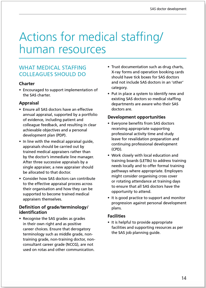 SAS Doctor Development: Summary of resources and further work - February 2017 SAS Doctor Development: Summary of resources and further work - February 2017