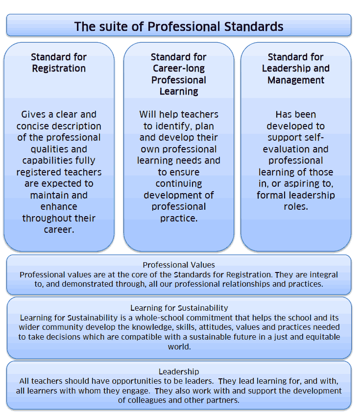 The suite of Profe ssional Standards 