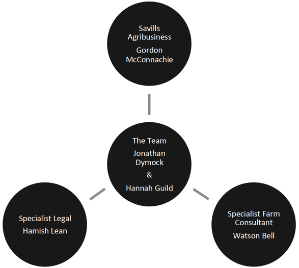 Model outlining how the Team have worked together
