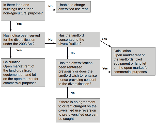 model outlining the process for considering non-agricultural/diversified activities
