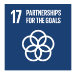 17 Partnerships for the Goals