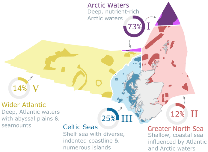 Scotland's relative contribution to the OSPAR network at the regional scale