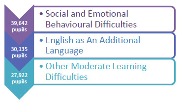 The most common additional support needs The most common additional support needs