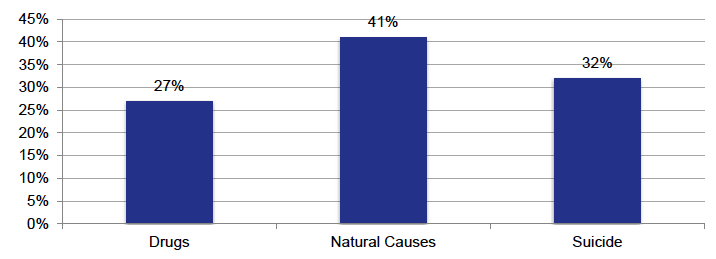 Chart 9 – Deaths in Custody
