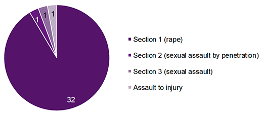 Chart 1: Main charges of police report (adult victims)