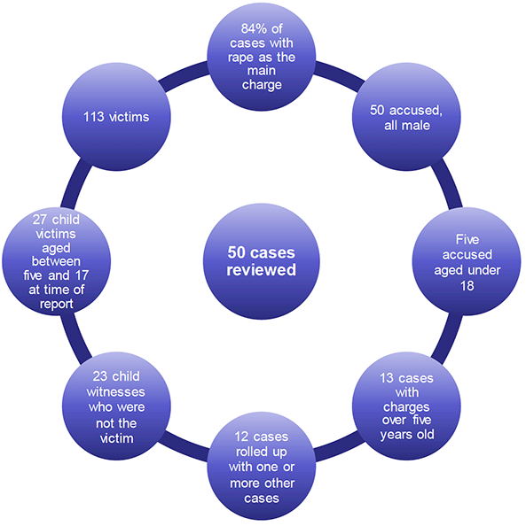 Case review cohort: Breakdown of case review carried out