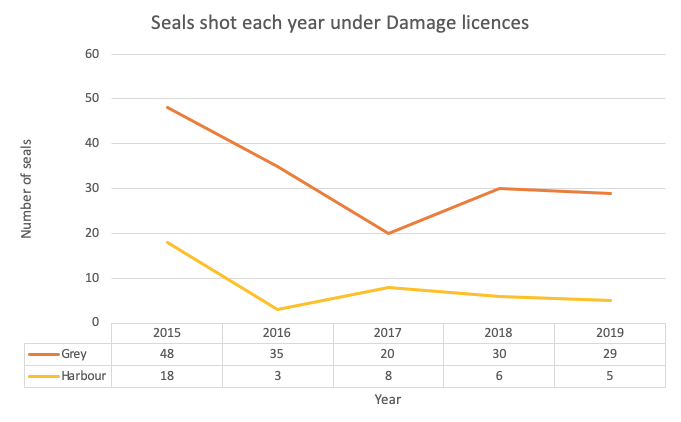 Seals shot by river fisheries have declined between 2015 and 2019.