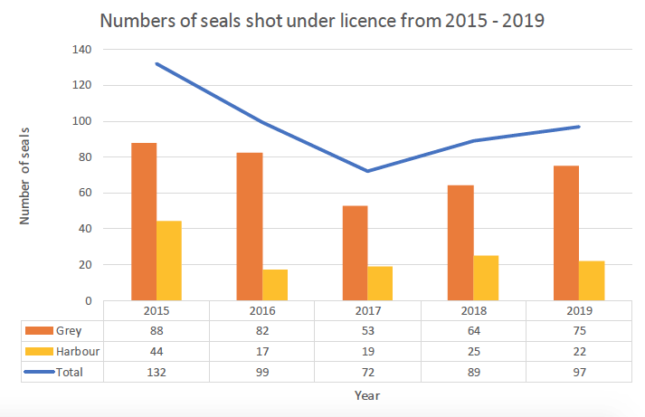 Overall total seals shot declined between 2015 and 2017 and slightly increased between 2017 and 2019