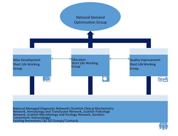 Phase V reporting organisational structure showing the 3 working groups reporting in to the main Demand Optimisation Group. The managed diagnostic networks contribute to the working groups.