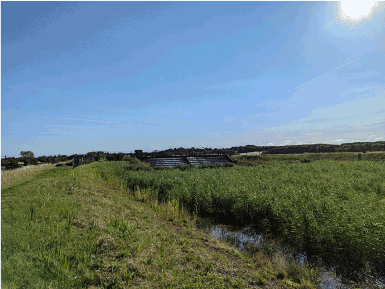 A field of grass and a blue sky with water treatment reed bed lagoons to the background. 