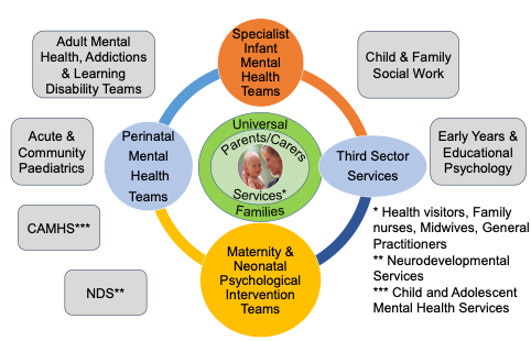Multi-agency model of infant mental health provision to meet the needs of families experiencing significant adversity, including infant developmental difficulties, parental substance misuse, domestic abuse and trauma