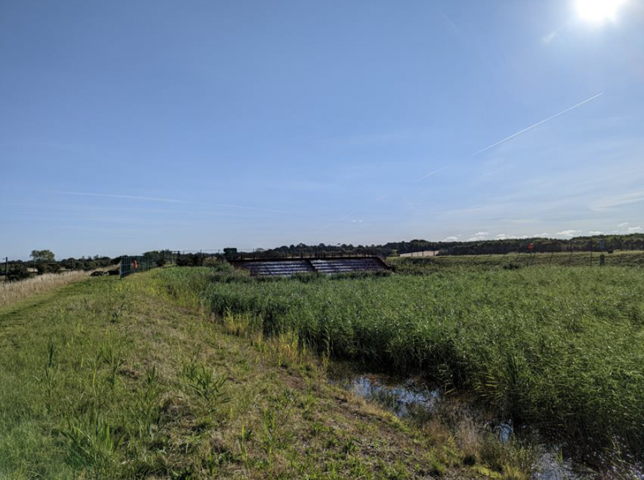 A field of grass and a blue sky with water treatment reed bed lagoons to the background.