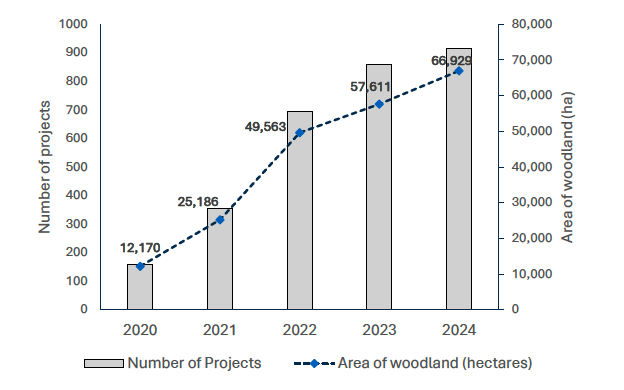 Using data collected 2020-2024, the area of forest and woodland registered under the Woodland Carbon Code has increased year on year since 2020. There was a steep rise between 2021 and 2022 from 25,186 hectares to 49,563 hectares. As of 2024, 66,929 hectares of forest and woodland has been registered under the code. 