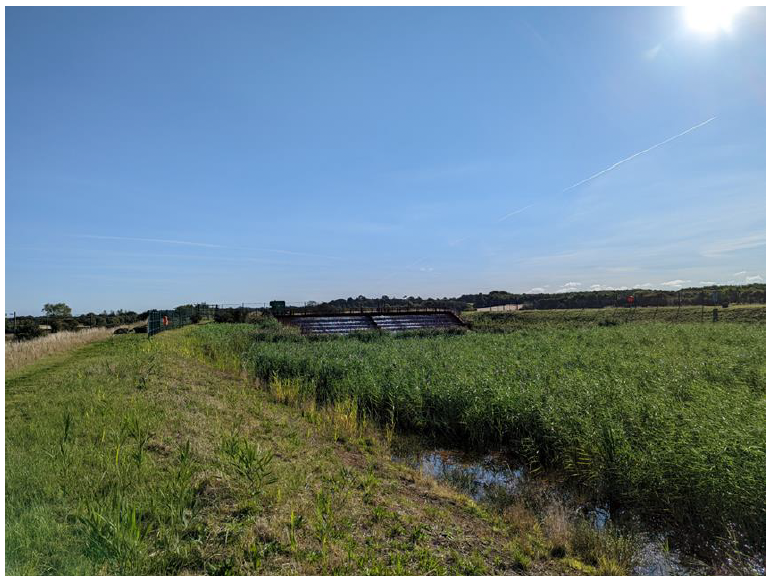 A field of grass and a blue sky with water treatment reed bed lagoons to the background. 
