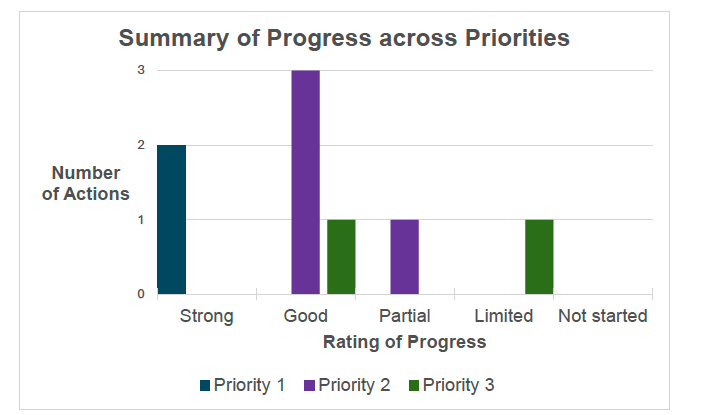Bar chart showing the progress on actions across the 3 priorities. Progress is divided into strong, good, partial, limited and not started. The chart shows how many actions fall into each category and which priority they belong to.