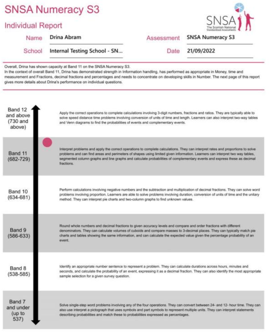 An example SNSA Individual Report