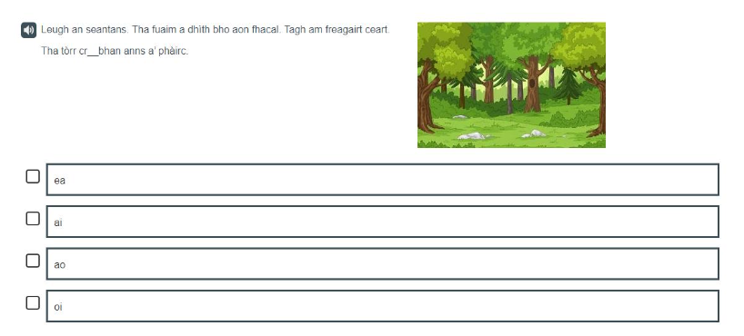 A Gaelic example of a P4 Spelling item assessing the knowledge of vowel blends.
