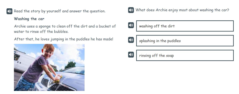 An English example of a P1 Understanding, analysing and evaluating item.